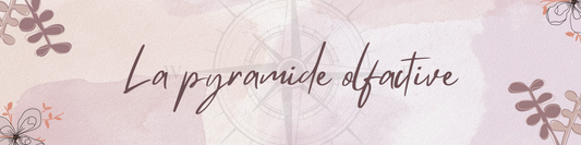 Tout savoir sur : la pyramide olfactive